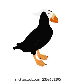 The tufted puffin, Fratercula cirrhata high quality vector design transparent background
