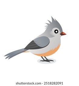 
Tufted Titmouse bird isolated flat vector illustration on white background.