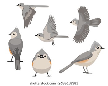 Tufted Titmouse Bird Varias Poses Personaje de Vector de dibujos animados