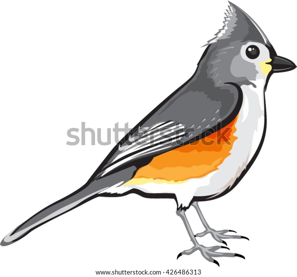 Tufted Titmouse Bird Vector Illustration Clipart Vector Có Sẵn Miễn Phí Bản Quyền 426486313