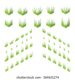 Tufts of grass. Isometric grass on a white background.