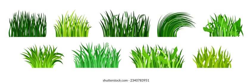 Tufts of Green Fresh Grass as Nature Element Vector Set