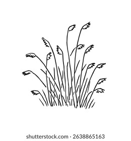 Tufts greenery. Hand drawn vector illustration.
