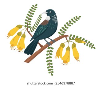 Ein Tui, ein einheimischer neuseeländischer Vogel, sitzt auf einem Zweig von Kowhai, einem blühenden Baum, der auch in Neuseeland heimisch ist.