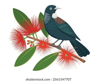 The Tui, a native New Zealand bird perched on a branch of a Pohutukawa tree