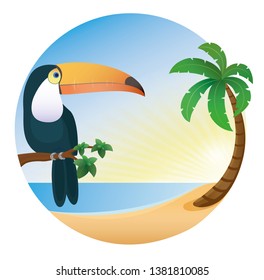 tukane, bird, beach, sun, sea, circle, palm tree