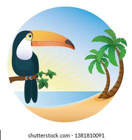 tukane, bird, beach, sun, sea, circle, palm tree