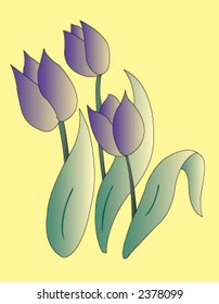 tulip
