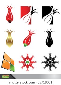 Tulip