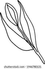 Tulip. Abstract flower on a white background, design elements. Vector  stock illustration. One line. 