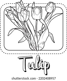 Tulip Artline Flower Illustration For Kids Coloring Book