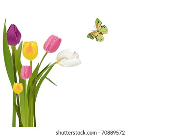 tulip background vector illustration