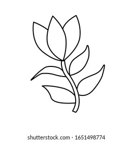 Tulip. Basic and simple coloring book for adults, seniors, and beginner. Vector. Floral. Flower.