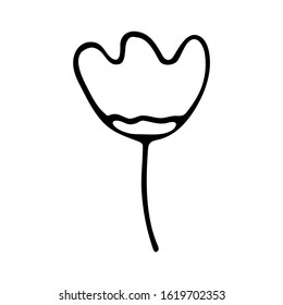 Tulip black and white illustration in doodle style, flower, holiday gift, spring and summer concept