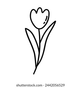 Tulip. Black and white vector isolated illustration in doodle style. Spring flower hand drawn, holiday gift card or print. Romantic design element coloring