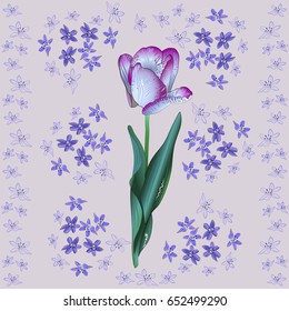 The Tulip blooming. Flowers background. Vector 10.