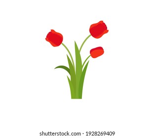 tulip blooms icon on white background. 8 March. Women's spring day