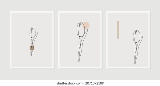 A tulip. Botanical wall art vector set. Line art drawing. Abstract Plant Art design for print, cover, wallpaper, Minimal and natural wall art. Set of posters for interior design