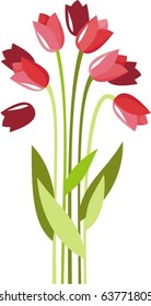 Tulip bouquet