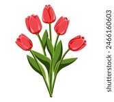 Tulip. Bouquet of five tulips. Perennial flower. Spring Summer. The stems are broad-leaved. Close-up. White background. Used for collages and stickers in web design, for cards and congratulations.