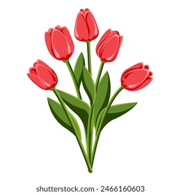 Tulip. Bouquet of five tulips. Perennial flower. Spring Summer. The stems are broad-leaved. Close-up. White background. Used for collages and stickers in web design, for cards and congratulations.