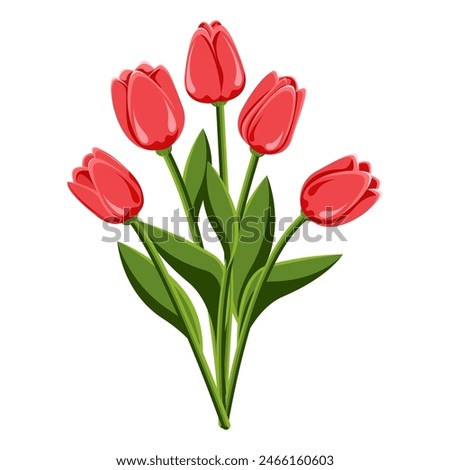 Tulip. Bouquet of five tulips. Perennial flower. Spring Summer. The stems are broad-leaved. Close-up. White background. Used for collages and stickers in web design, for cards and congratulations.