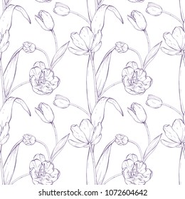 Tulip Bouquet. Hand drawn vector illustration background. Seamless pattern. Botanical engraved style illustration. Detailed floral sketch. Hand drawn vector illustration background.