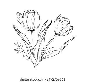 Boceto de arte de la línea del ramo de Tulip. Ramo de primavera dibujado a mano con contorno floral. Tulipanes floral negro vintage lineal ramo Ilustración vectorial