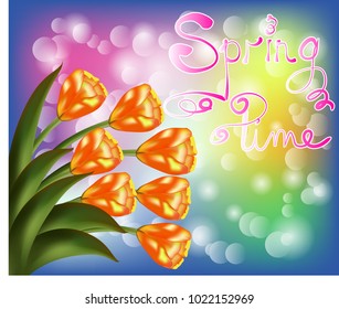 Tulip bouquet over white background with custom text Hello Spring. Vector illustration.