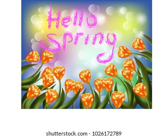 Tulip bouquet over white background with custom text Hello Spring. Vector illustration.