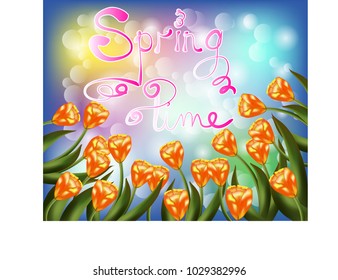 Tulip bouquet over white background with custom text Hello Spring. Vector illustration.