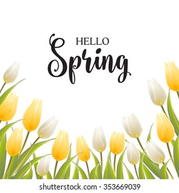 Tulip bouquet over white background with custom text Hello Spring. Vector illustration.