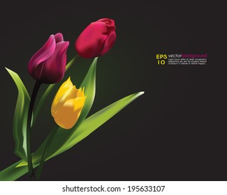 Tulip Bouquet. Vector Illustration. Decoration with detailed flowers. Vector floral image for greeting cards, invitations, banners, wallpaper, background. Place for your text. Easily editable.