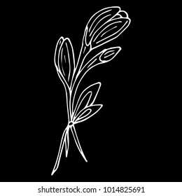 Tulip with bow vector illustration. Doodle style. Design, print, logo, decor, textile, paper.