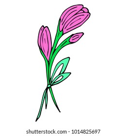 Tulip with bow vector illustration. Doodle style. Design, print, logo, decor, textile, paper.