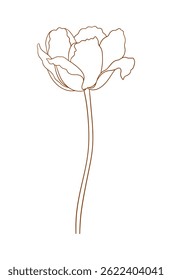 Tulip in brown outline. Beautiful sketch flower, spring decor. Drawing element of minimal style for Easter, Mother Day, Canadian Tulip Festival. Vector illustration