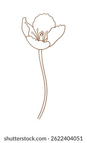 Tulip in brown outline. Beautiful sketch flower, spring decor. Drawing element of minimal style for Easter, Mother Day, Canadian Tulip Festival. Vector illustration