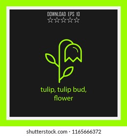 tulip, tulip bud, flower vector icon