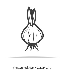 Tulip bulb outline icon vector isolated