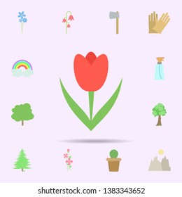 Tulip colored icon. Universal set of nature for website design and development, app development