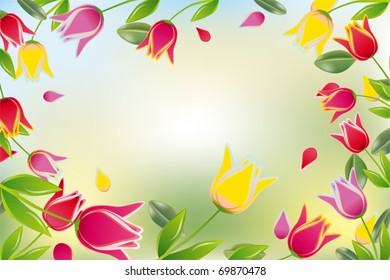 Tulip colorful card
