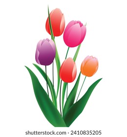 Tulip Colorful Flower Design And Ceramic Floral Vector
