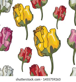 tulip colorfull pattern isolated on white