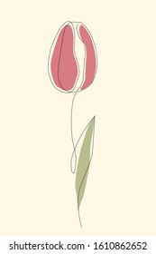 Tulip continuous one line icon. Isolated single flower silhouette. Modern minimal style linear logo. Floral element, symbol for poster, social media stories, card, cover. Vector scribble illustration