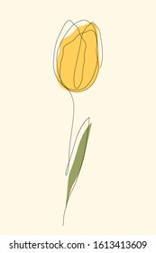 Tulip continuous one line icon. Isolated single flower silhouette. Modern minimal style linear logo. Floral element, symbol for poster, social media stories, card, cover. Vector scribble illustration