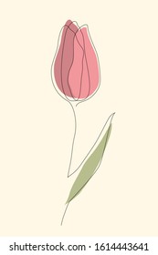 Tulip continuous one line icon. Isolated single flower silhouette. Modern minimal style linear logo. Floral element, symbol for poster, social media stories, card, cover. Vector scribble illustration