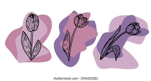 Tulip contour drawing. Minimal art flower on geometric shapes backgroud. Modern black and white illustration. 