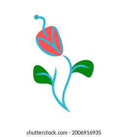 Tulipán, un elemento decorativo para la decoración. Flor cúrcuta - vista de fondo blanco. Ilustración aislada del vector.