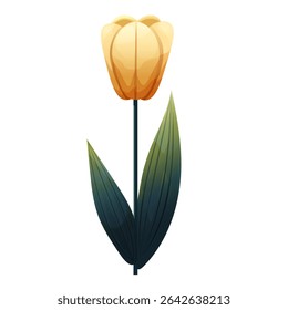 Tulip. Delicate flower with gradient shading. Isolated on white background, suitable for spring design, cards, patterns or packaging. Vector.