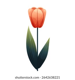 Tulip. Delicate flower with gradient shading. Isolated on white background, suitable for spring design, cards, patterns or packaging. Vector.